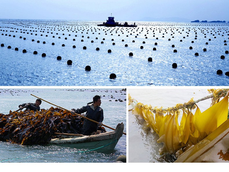 15758718261678067MII.jpg 2.jpg