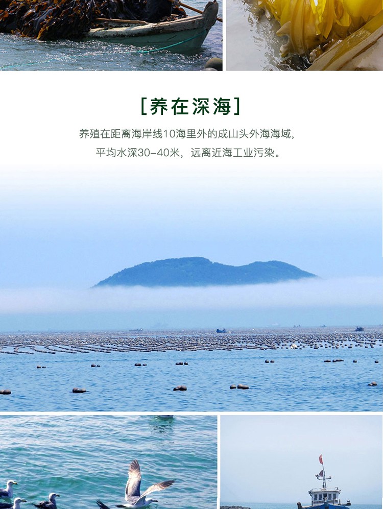 1575876474641634B3Un.jpg 4.jpg