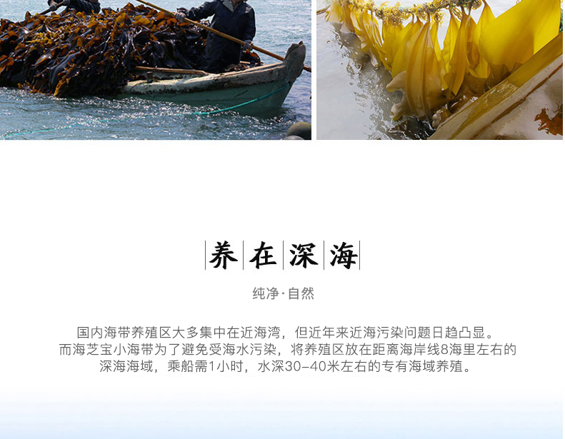 1575878095741231fGS1.jpg 6.jpg