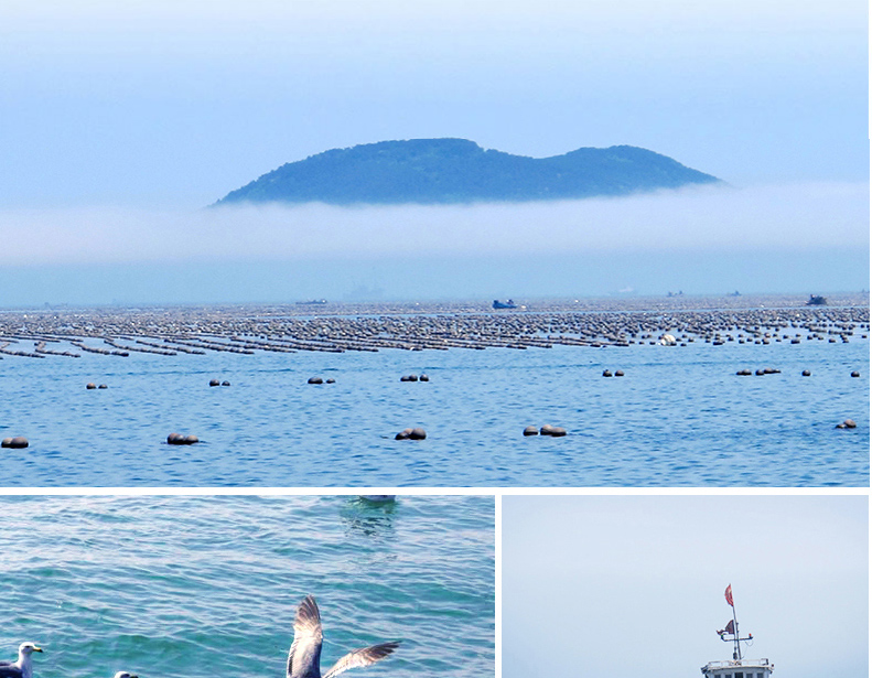 15758781034978268lsv.jpg 7.jpg