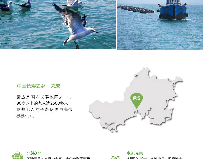 1575878112765624SJgL.jpg 8.jpg