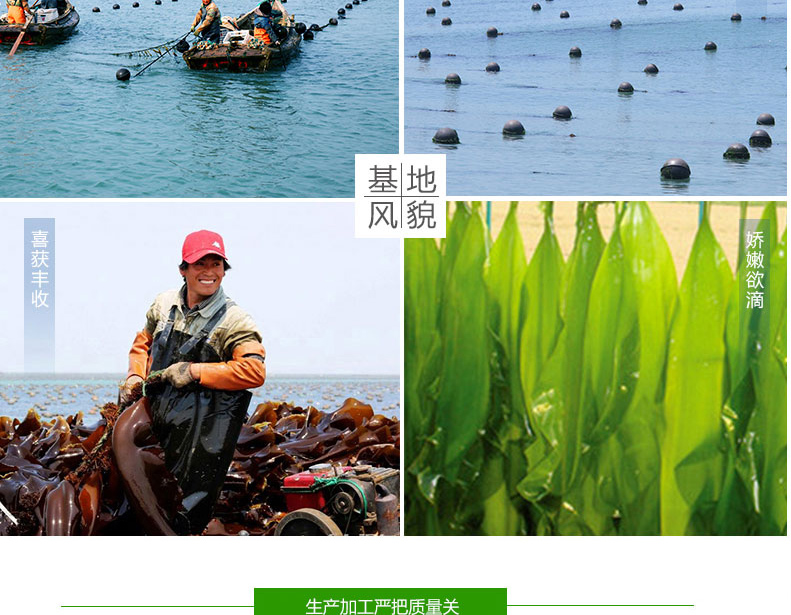 1575878162416233OvHF.jpg 11.jpg