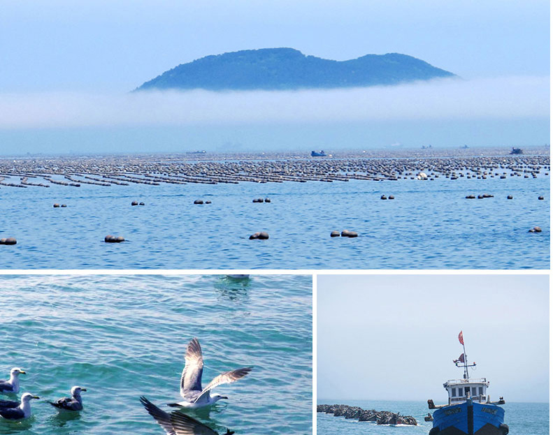 1576032997996268HO5M.jpg 7.jpg