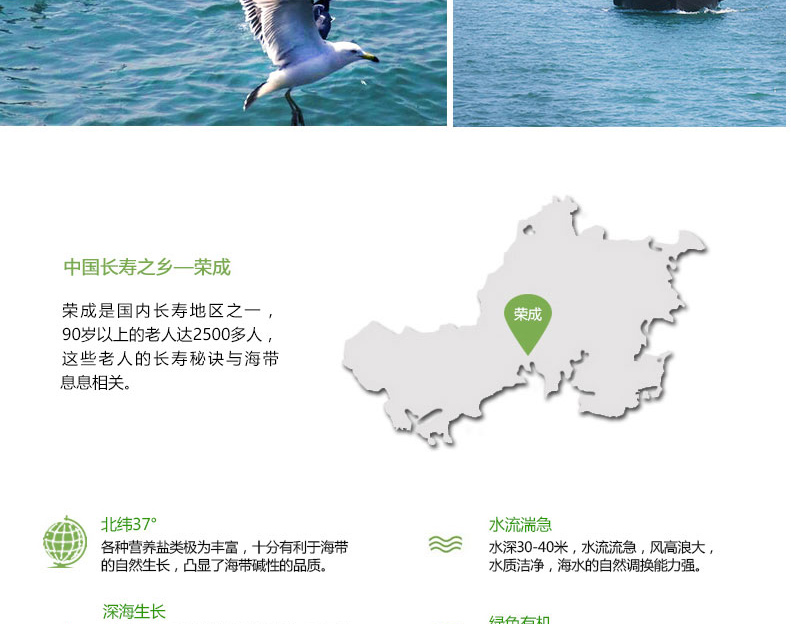 15760330071279128Q5d.jpg 8.jpg