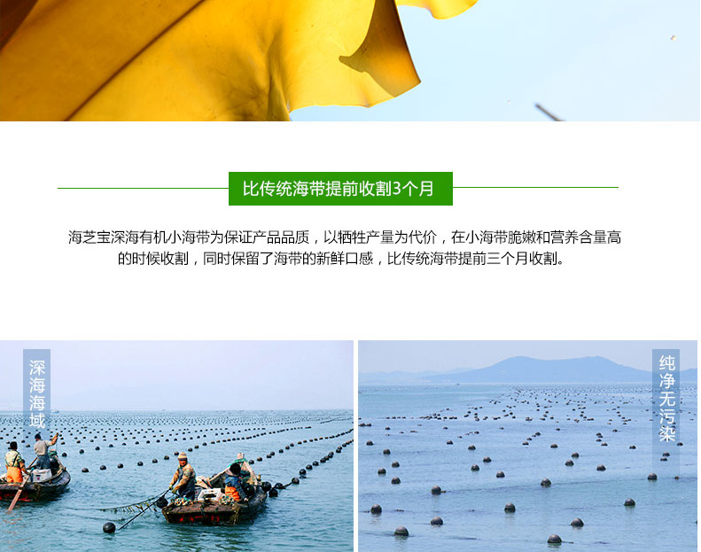 1576033027391117CNY5.jpg 10.jpg