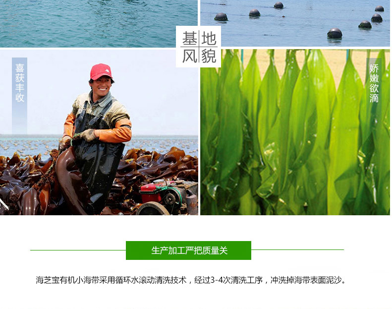 15760330398458127paC.jpg 11.jpg