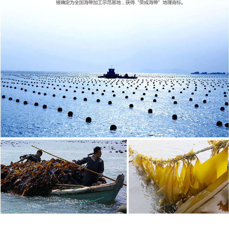 1576034146622524QAIl.jpg 5.jpg