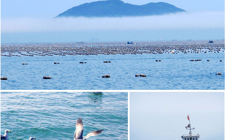 1576034164557274RT5d.jpg 7.jpg