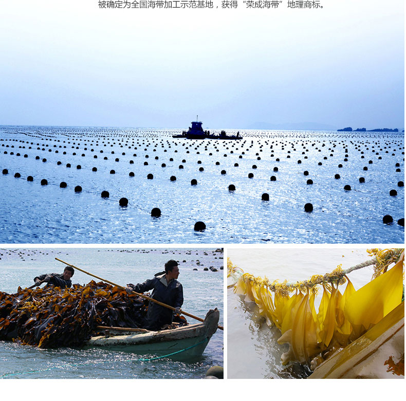 1576035417642471ozjK.jpg 5.jpg