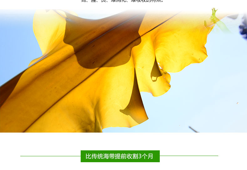 1576035461820422LEnO.jpg 10.jpg