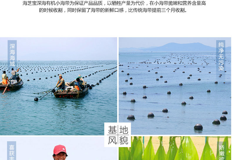 1576035469617281p2iy.jpg 11.jpg